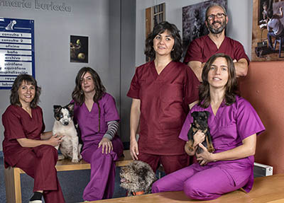 Nuestro Equipo Veterinario